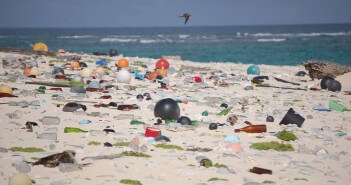 13 Millionen Tonnen Plastikmüll landen in den Weltmeeren – pro Jahr Plastikmüll am Strand von Laysan Island, Hawaii.